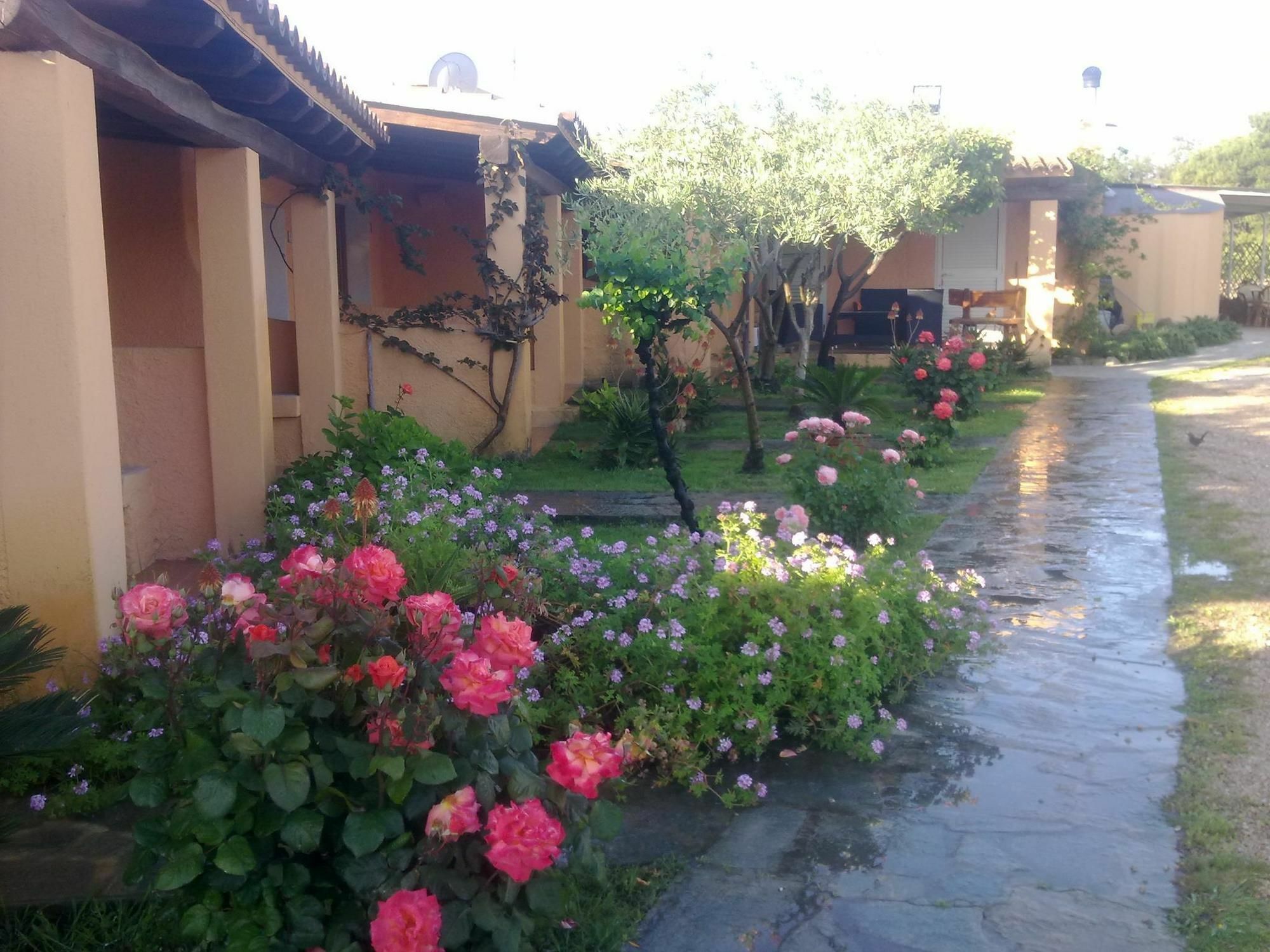 Residence La Pineta Будони Экстерьер фото